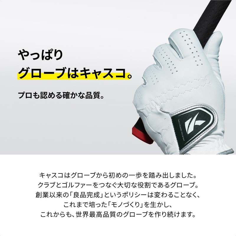 Kasco Golf Glove Natural Leather DNA SHEEP GF-2012R Right Hand