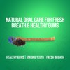 Dabur Miswak Blackseed Toothpaste - 100gm, Herbal Toothpaste with Pure