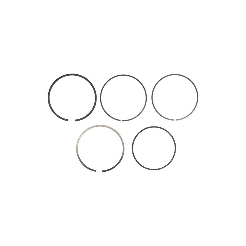 Vertex 590385500002 Replacement Ring Set