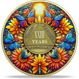 Imasoner 23 Year Sobriety Coin Gifts | Sun and Boat Butterfly AA Coin - HA AA Chip Medallion with Serenity Prayer | Narcotics Alcoholics Anonymous Gifts for Anniversary Year for Men & Women in Recovery