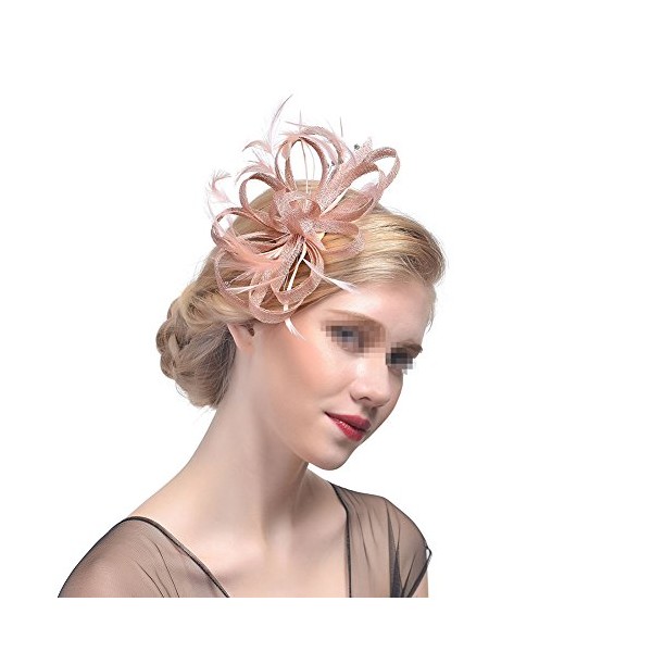 Damen Feder Haarschmuck,MoreChioce Frauen Fascinators Hut Haar Accessoire Blume Mesh Hair Clip Haarspangen StirnbÃ¤nder,Champagner Diamant,EINWEG
