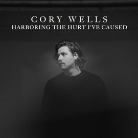 Harboring the Hurt I've Caused [Vinyl LP]