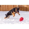 Jolly Pets Jolly Egg Dog Toy, 12 Inches/Large, Red