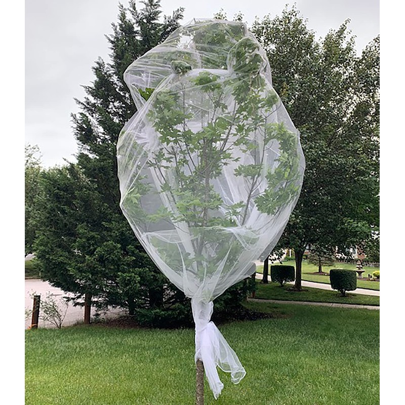 Fasmov 8.2 x 16.4 feet Bug Insect barrier Bird Net
