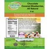 Chocolate Covered Blueberries, All Natural (4 oz, ZIN: 527010) -
