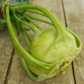 Early White Vienna Kohlrabi - 150 Seeds