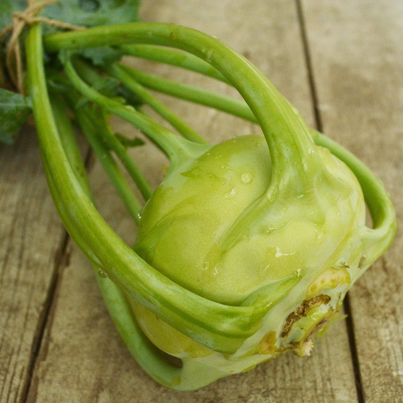 Early White Vienna Kohlrabi - 150 Seeds