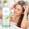 Shampoo Cola De Caballo Sheló Nabel