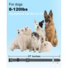 Doparet Heavy Duty Reflective Adjustable Replacement Strap, Soft Nylon Collar