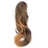 DIGUAN 13 Inches Ombre Claw Clip In Wavy Loose curly