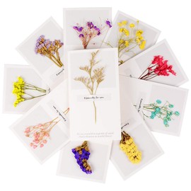 Andy Anand Sugar Free Cherry Cheesecake 9" Made in Traditional Way, Amazing-Delicious-Decadent & Greeting Card, Birthday Valentine, Christmas, Mothers day, Anniversary (2 lbs)