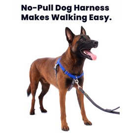APDEXY Freedom No Pull Harness for Large Dog with Front Clip, Designed for Hounds Train, Easy Walk, Anti Pull with 2 Stainless D-Rings, Comfortable, Sewn-in Instructions Tags for Easy Use (Black, L)