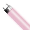 Helios 12Pack T5 Bulb 24W Aquarium Light Bulb HO for