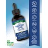 Nature's Truth Ionic Magnesium Liquid Drops | 200mg | 4