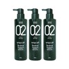 amos Green Tea Real Feel Shampoo 500g (3 Packs) Revitalizing Scalp & Hair Care / amos 아모스 녹차실감 샴푸 500g 3개 리바이탈 라이징 두피 모발 케어
