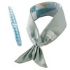 Elecom HCC-SC21BU Cool Scarf, Contact Cool, Heat Prevention Goods, Ice