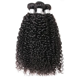 Czrleaty Jerry Curly Wave 5Bundles(50g/bundle) with 4x4 Lace Closure Brazilian Human Hair Bundles with Free Part Closure Kinky Curly Human Hair Bundles with Lace Closure(12/12/12/12/12+12"Closure)