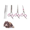 Pet Rabbit Grooming Scissors Stainless Steel Round Tip 4 in