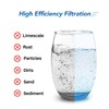 IcePure Whole House CTO Carbon Water Filter Cartridge 1 Micron