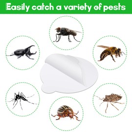 Kittmip 48 Pcs Round Insect Trap Refillable Glue Boards Sticky Fruit Fly Trap Mosquito Fly Killer for Mosquitoes Fruit Flies Gnats Moths Fits Most Models Indoor Outdoor Lamp (4.13 Inch)