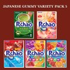 Puchao Japanese Gummy Candy Variety 5 Pack Care Package Gift