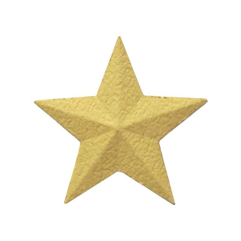 AMZ_Embossing Punch 3D Star Small