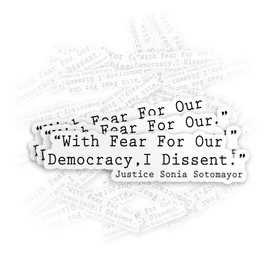 (3Pcs) with Fear for Our Democracy I Dissent Sticker Feminist Justice Waterproof Die-Cut Vinyl Sticker for Kindle Laptop Water Bottle Hard Hat Funny Decal Gifts 2 Inches
