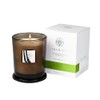 Aquiesse Fine Scented Large Candle In Box - Cherimoya 11oz