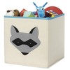 Whitmor Kids Raccoon Canvas Collapsible Cube - 10 x 10