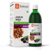 Krishna's Herbal & Ayurveda Jamun Juice - 500 Ml (Pack