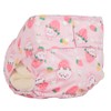 ABDL Adult Print Diaper, Unisex - IC Strawberry and Pink