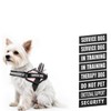 Dog Vest Harness and Patches Set, Animire in Training Service