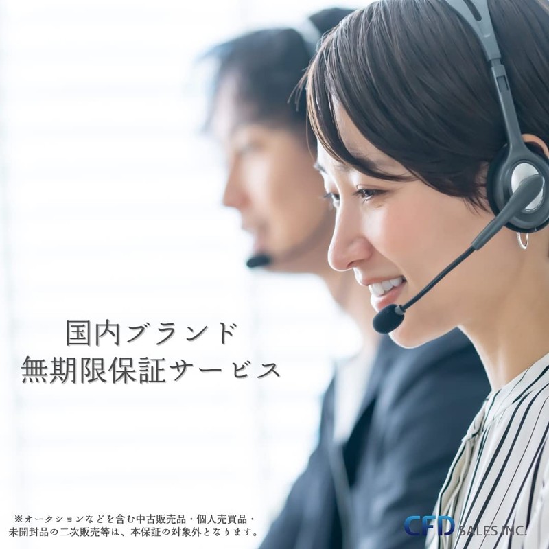 CFD PC3-12800 (DDR3-1600) Panram Laptop Memory