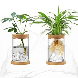 Plant Propagation Station with Mountain-Shaped Bottom - 2Pcs Hydroponic Glass Vases with Bamboo Saucer, Terrarium Jars for Indoor Growing, Desktop Vivarium, Ideal Gifts for Plant Lovers