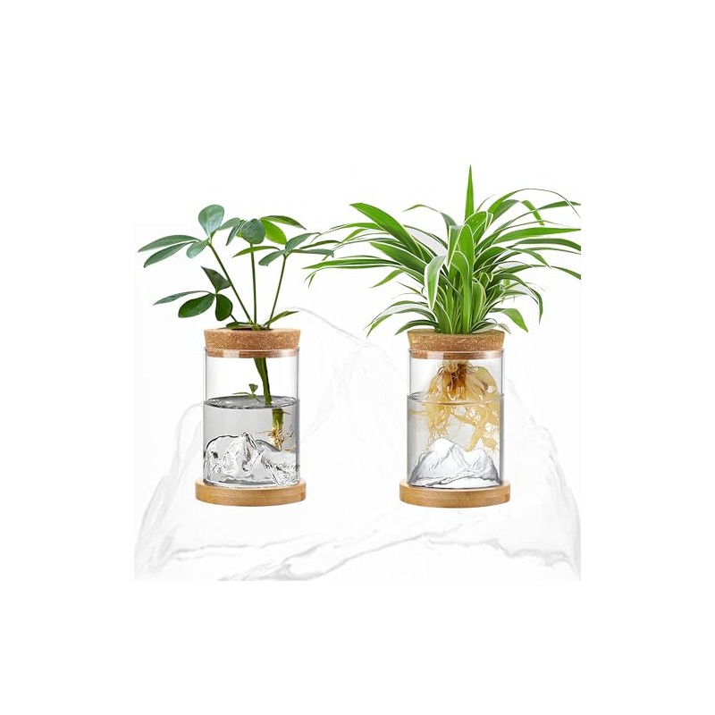 Plant Propagation Station with Mountain-Shaped Bottom - 2Pcs Hydroponic Glass