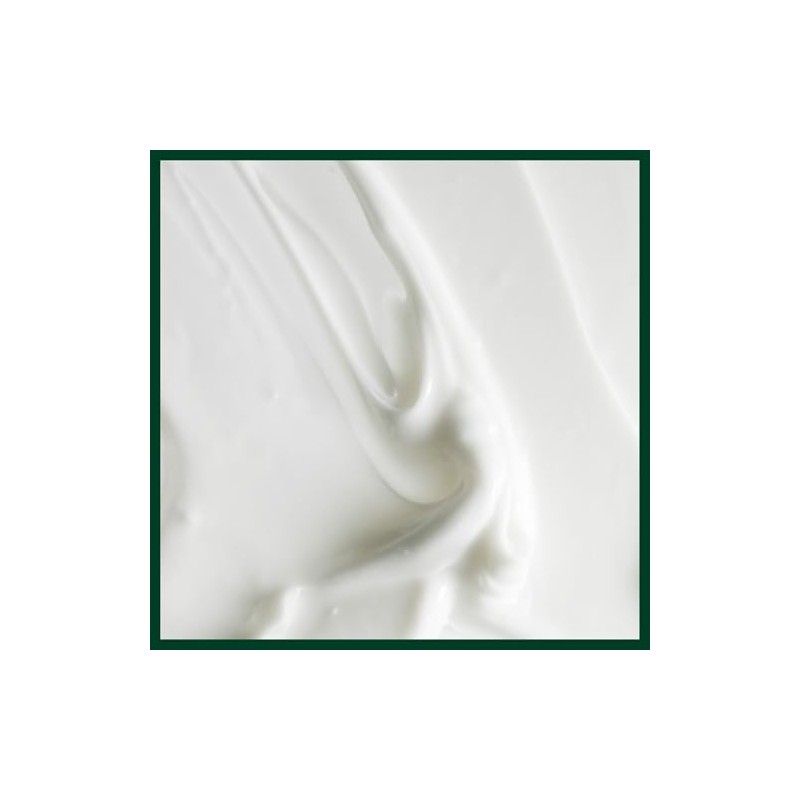 Aveda Scalp Solutions Replenish Acondicionador | Hidrata y Suaviza