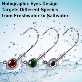 Dr.Fish 10 Pack Fishing Eyes Jigs 3D Eyes Trout Heads Bass Hook Lure Live Bait Plastic Saltwater Jig Heads Freshwater 1/4oz