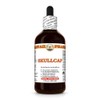 Skullcap (Scutellaria Lateriflora) Dry Herb Tincture, Made in Hawaii, Organic