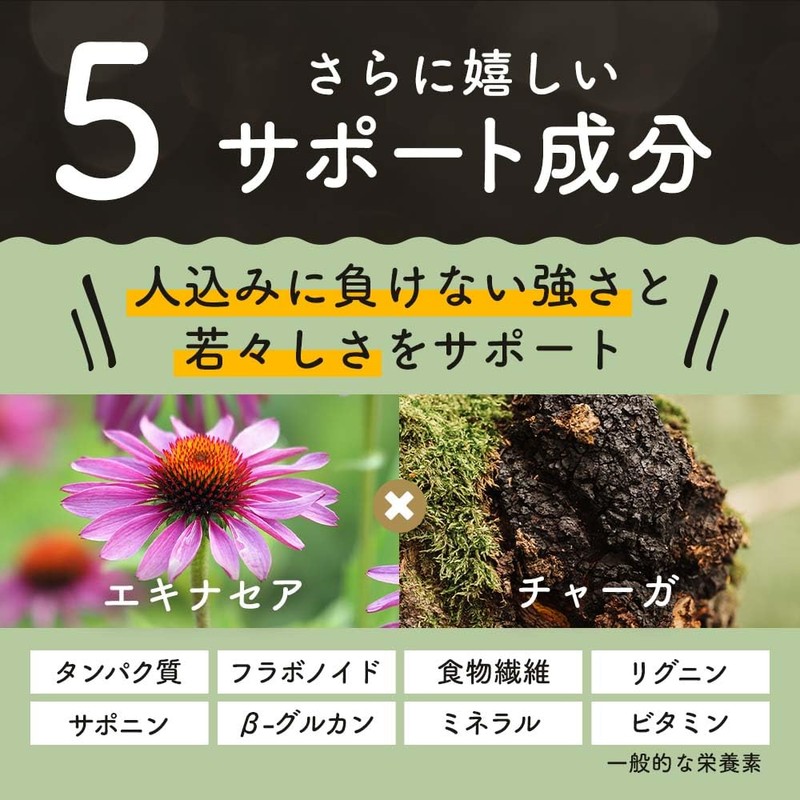 オーガランド コンブチャ×キャンドルブッシュ sururi 茶 エキナセア チャーガ キャンドルブッシュ茶 (100包, ブレンド)