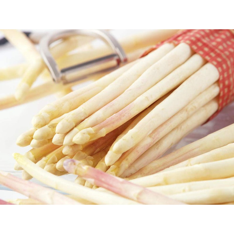Seeds4planting - Seeds White Asparagus Non GMO Heirloom for Planting