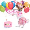 Weewooday Weewooday 4 Pieces Dog Birthday Outfits Dog Girl Bandana