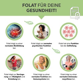 Organic Barley Grass Powder Ground 500 g Barley Grass Powder from German Cultivation 100% Pure without Additives (DE-ÖKO-007)