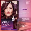 Clairol Bold & Bright Permanent Hair Dye, 28 Wild Blackberry