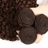 Color 4 Bundles Human Hair Dark Brown Deep Curly Weave