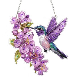 NAIMOER DIY Hanging Diamond Art Kits for Adults, Hummingbird Diamond Painting Kits, Special Shaped Rhinestone, Acrylic 5D Gem Art Craft Window Pendants Home Garden Wall Hanging Ornament Kits