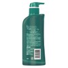h&s conditioner refresh pump 370g