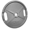 POWER EXTREME Cast Iron Weight Plates with 2 Grip Holes,