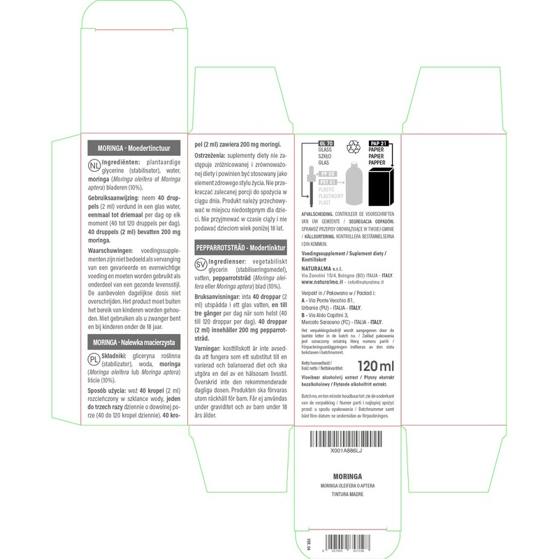Moringa (Moringa oleifera or Moringa aptera) Leaves Alcohol-free Mother Tincture