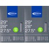 2 x Schwalbe AV 19 Tube 29 622 Valve: Car