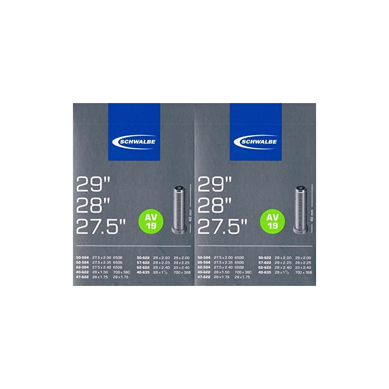 2 x Schwalbe AV 19 Tube 29 622 Valve: Car